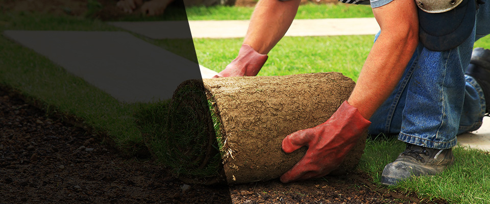 Oaks Landscapers